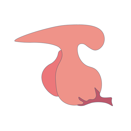 线粒体病基因检测，基因解码