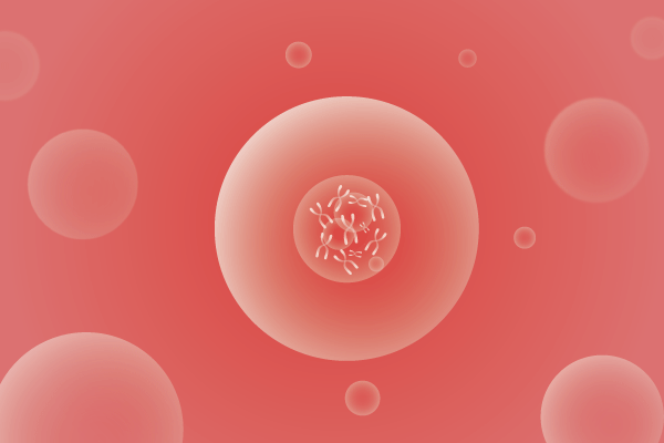 CNV,拷贝数变化遗传病、基因病、罕见病基因解码，基因检测，基因筛查与分子诊断