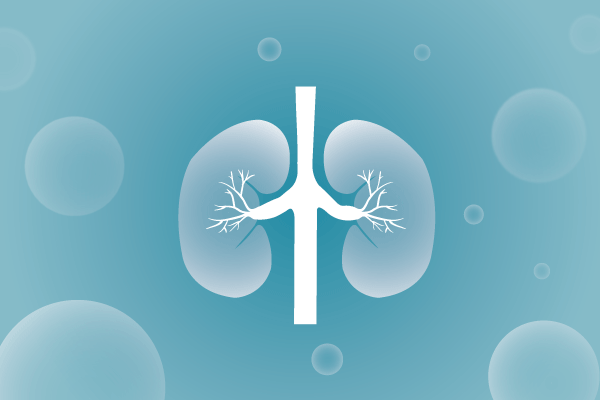 泌尿系统，肾脏，膀胱，尿病，肾不好遗传病、基因病、罕见病的基因解码，基因检测，基因筛查与分子诊断