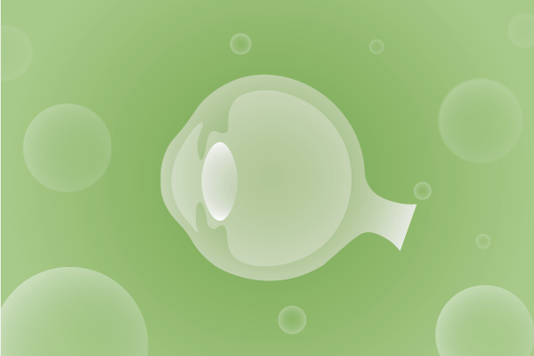 眼科，视光中心，眼科诊所，眼睛相关遗传病、基因病、罕见病的基因解码，基因检测，基因筛查与分子诊断