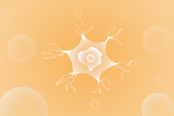 神经科肌肉系统及运动神经系统遗传病、基因病、罕见病的基因解码，基因检测，基因筛查与分子诊断