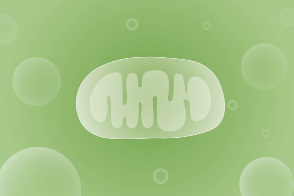 线粒体病、线粒体疾病遗传病、基因病、罕见病基因解码，基因检测，基因筛查与分子诊断