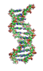 【Ebpay基因检测】先天性肌营养不良症-抗肌萎缩相关糖蛋白病与脑和眼睛异常B4型基因解码、<a href=http://www.hntjbchg.com/tk/jiema/cexujishu/2021/31933.html>基因检测</a>的样品有区别吗？