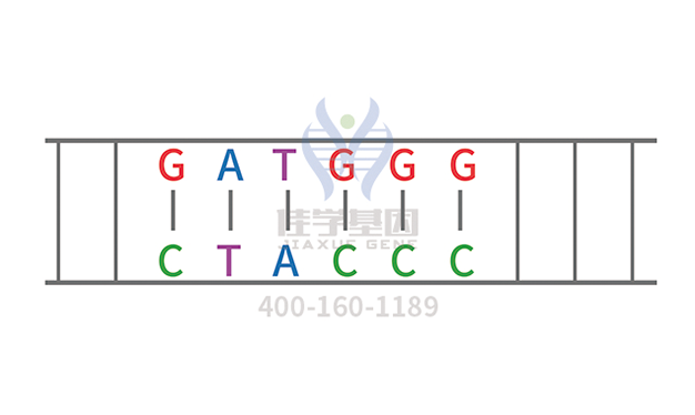 阿洛那药物<a href=http://www.hntjbchg.com/tk/jiema/cexujishu/2021/31933.html>基因检测</a>