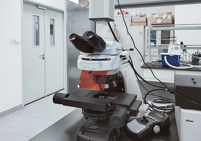 <font color='red'>脱发</font>基因解码：让头发生长的基因