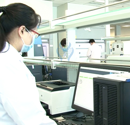 染色体疾病筛查DMD存在突变，如何理解？