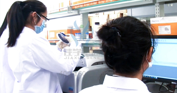 FISH疾病风险评估在GDF2存在突变，会得什么病？