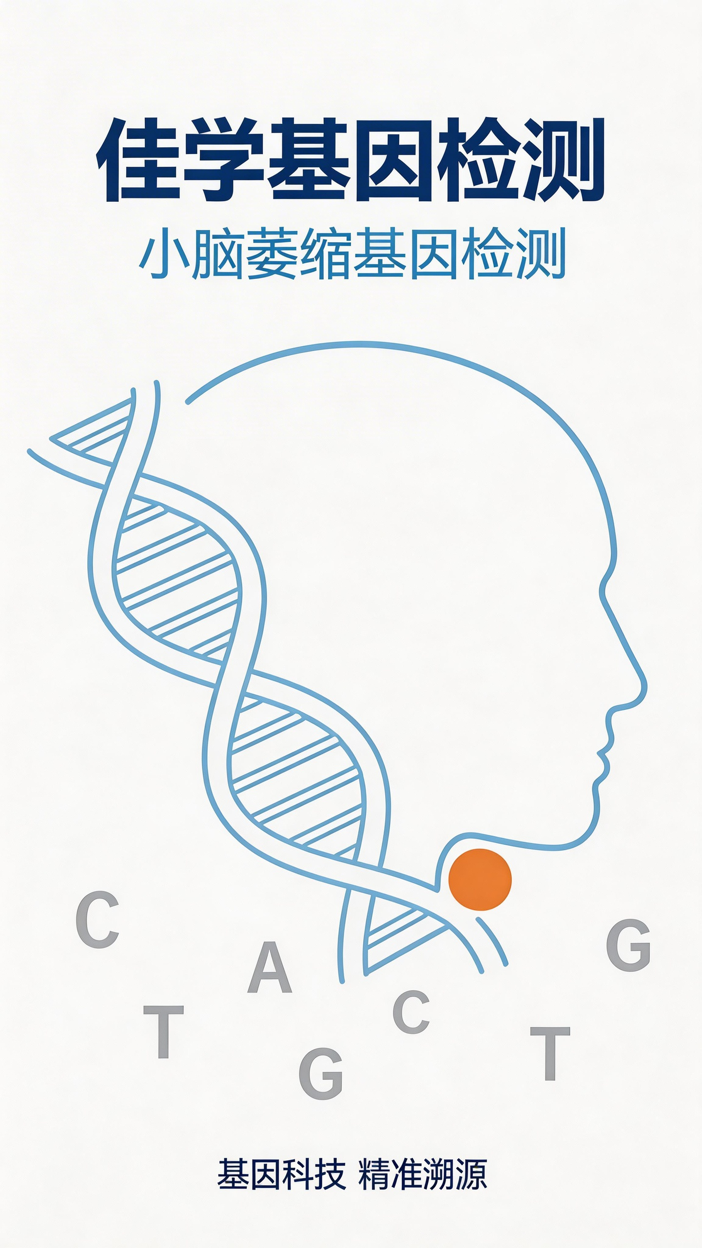 【Ebpay基因检测】 小脑<font color='red'>萎缩</font>基因检测项目介绍