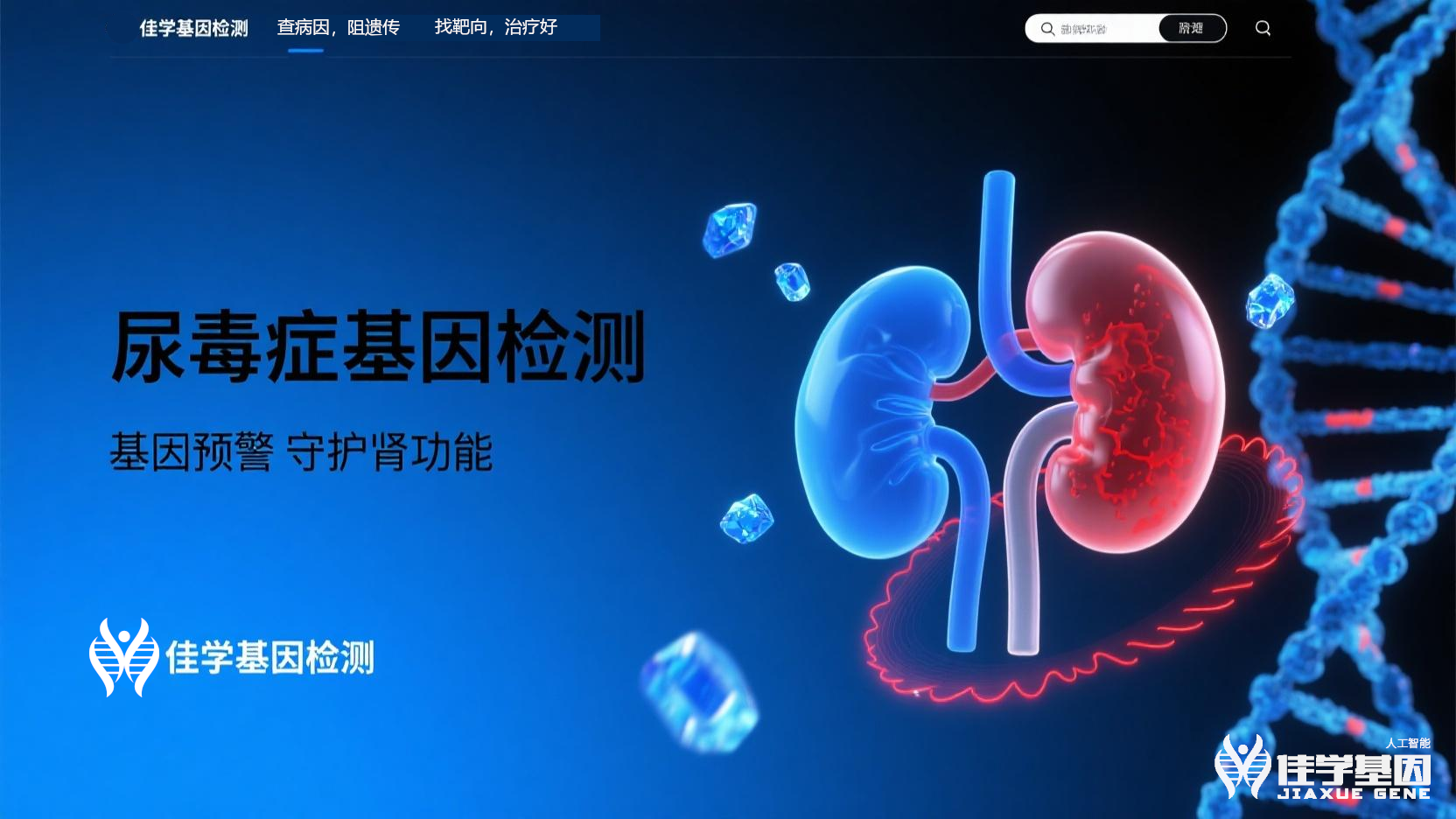 【Ebpay基因检测】<font color='red'><font color='red'>尿毒症</font></font>基因检测寻找治疗靶点