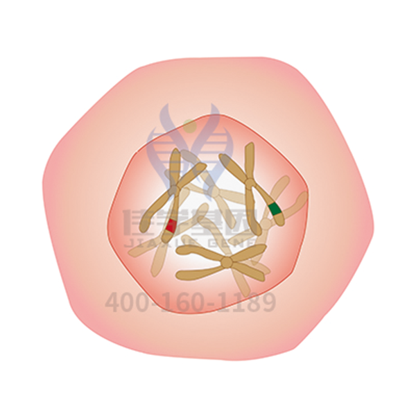 【Ebpay基因解码-基因检测】一种类肿瘤的肺部疾病——<font color='red'><font color='red'>特发</font><font color='red'>性肺</font><font color='red'>纤维</font>化</font>