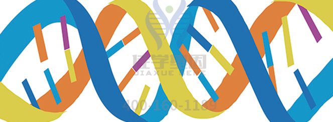 【<font color='red'><font color='red'>畸形</font><font color='red'>精子</font>症</font>基因检测】基因解码确定为生精障碍39型后的生育策略