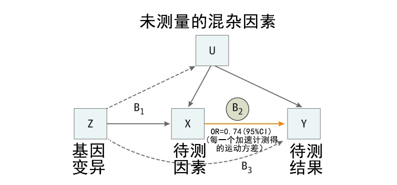 Ebpay基因解码顺利获得孟德尔随机化法研究两个因素之间的关系及作用方向
