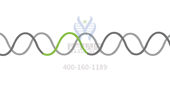 【Ebpay基因检测】多发性<font color='red'>骨髓</font>瘤（Multiple Myeloma）靶向药物使用前的基因检测