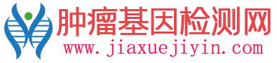 基因检测